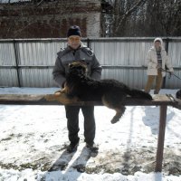 Трудно делать первые шаги... - Трудно делать первые шаги.... Но рядом - любимый хозяин, и я все смогу!