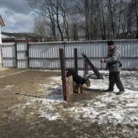 Вот уже почти получилось! - Вот уже почти получилось!