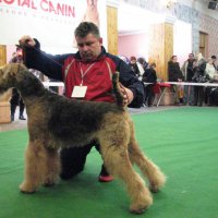 Шэрик на выставке с любимым хозяином - Шэрик на выставке с любимым хозяином