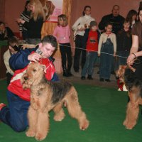 Cтойка победителя - На выставке - стойка победителя