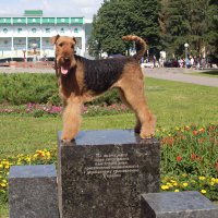 Тайри в Полтаве - Тайри в Полтаве