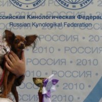 Юный Чемпион России - Юный Чемпион России (9 месяцев)